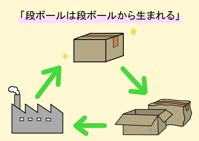 ダンボールの特性