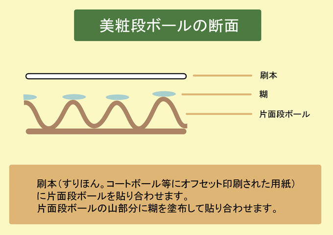 美粧段ボール断面